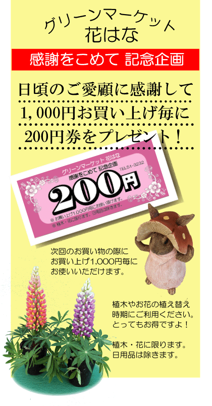感謝企画　200円券.gif
